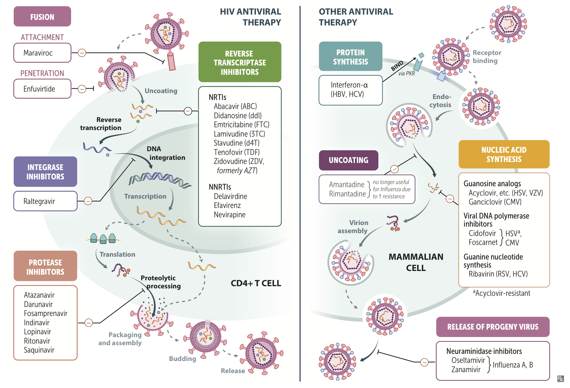 Т терапия. Antiretroviral Therapy. Antiviral Therapy. Antiviral drugs interferon. Antiretroviral HIV.